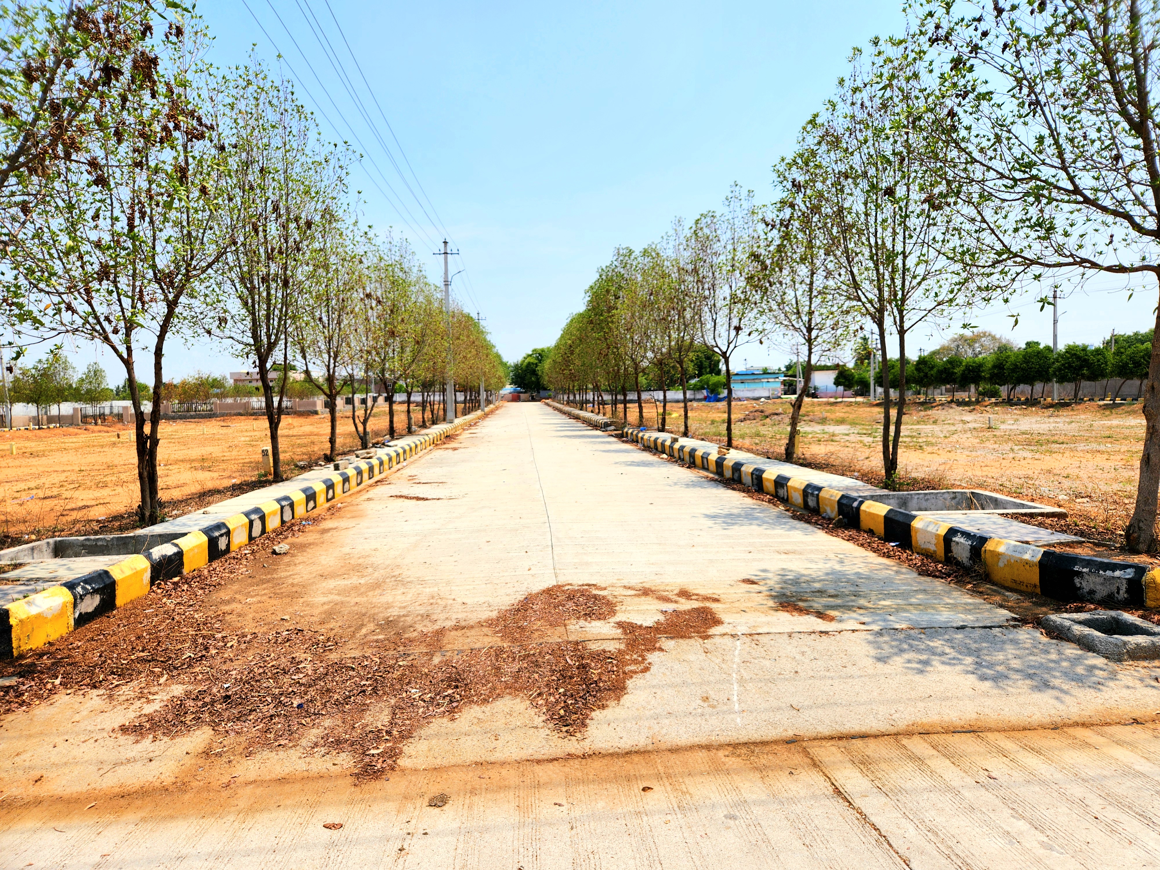 ever mark properties